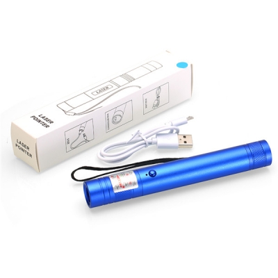 USB Rechargeable Battery Green Laser Pointer 300mW
