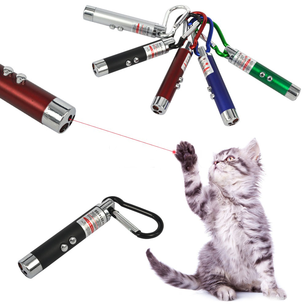 Cat Chasing Laser Pen