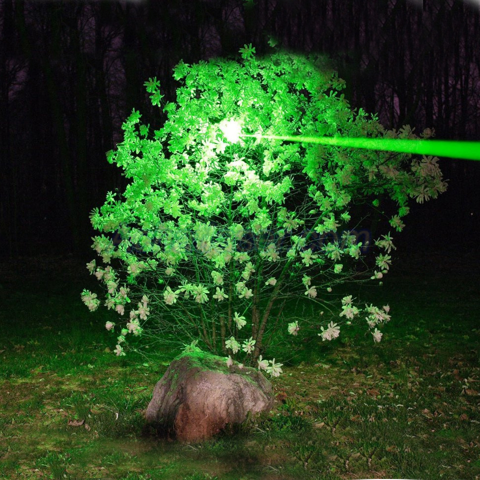 6000mW Green Laser Pointer