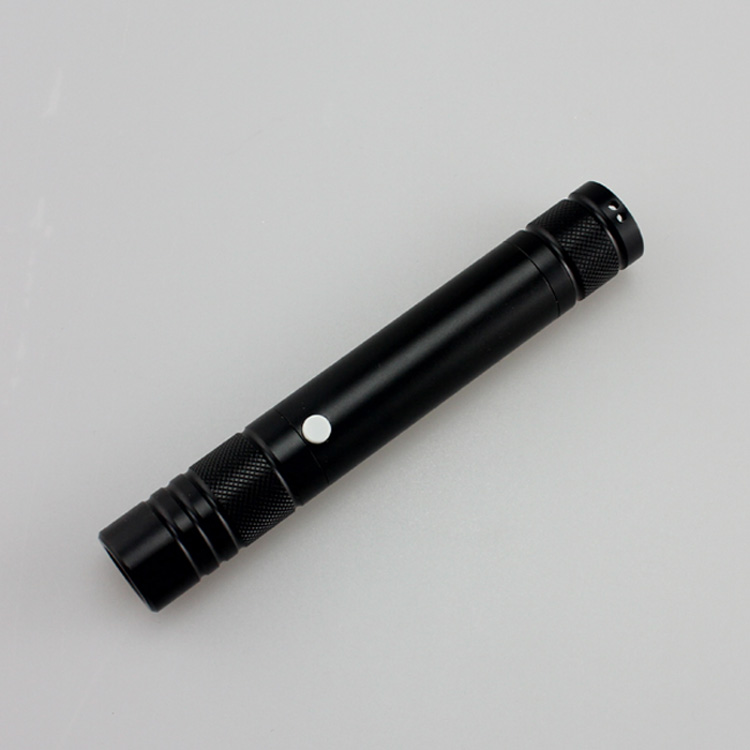 Laser Pointer 100mW