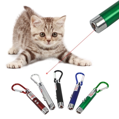 2 In1 Mini Red Pointer Pen Keychain Flashlight Child Pet Cat     Toy 
