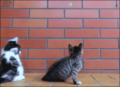  5mw cat laser pointer green