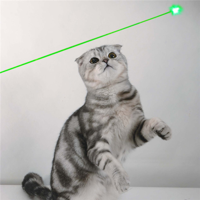 200mw green laser