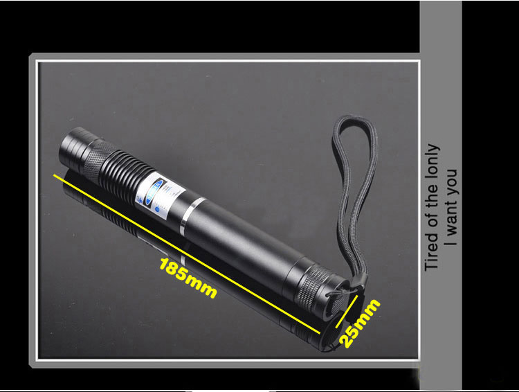 blue laser pointer 2000mw