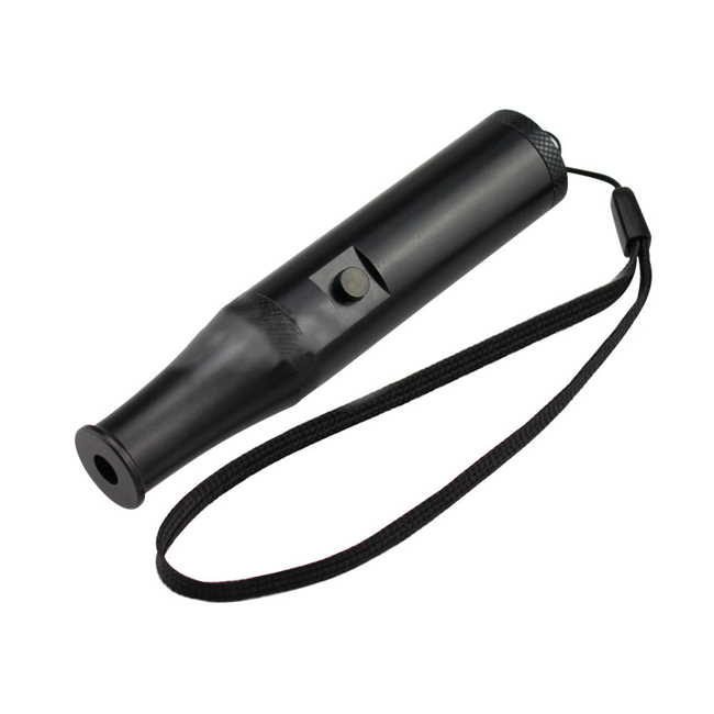 Laser Pointer 450mW